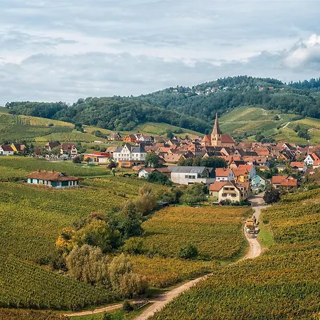 Elsass